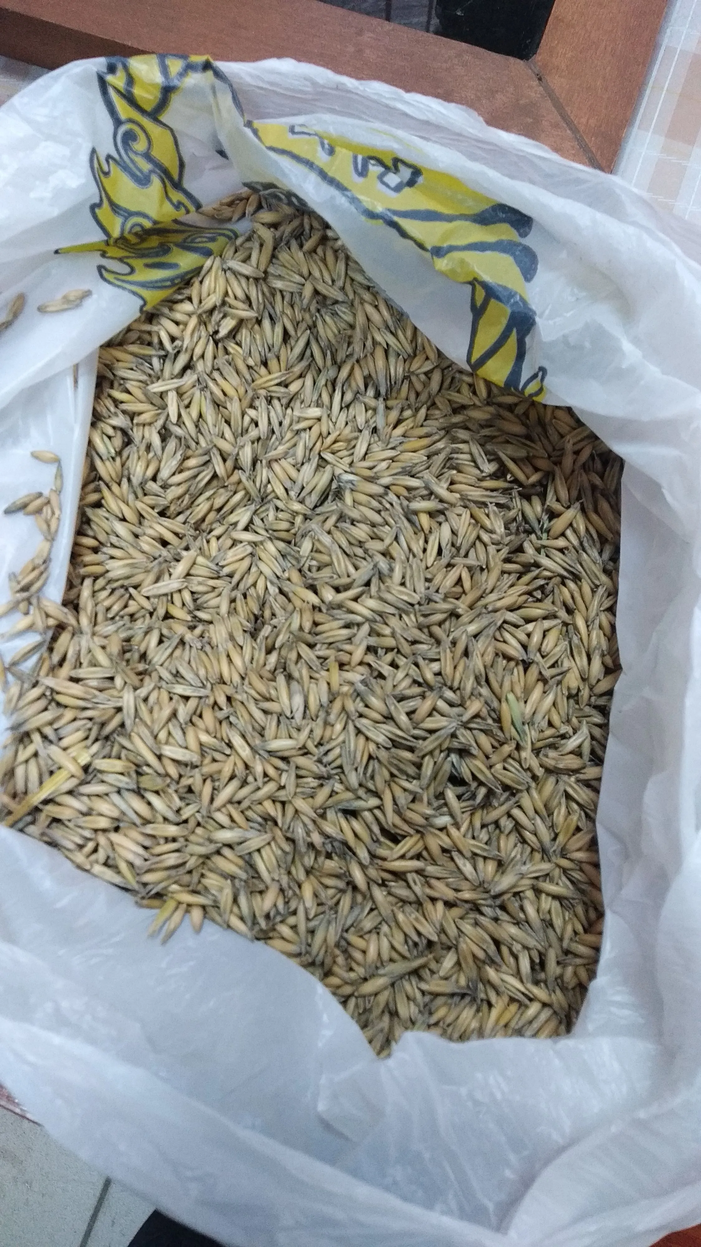 пшеница,лен.ячмень в Омске