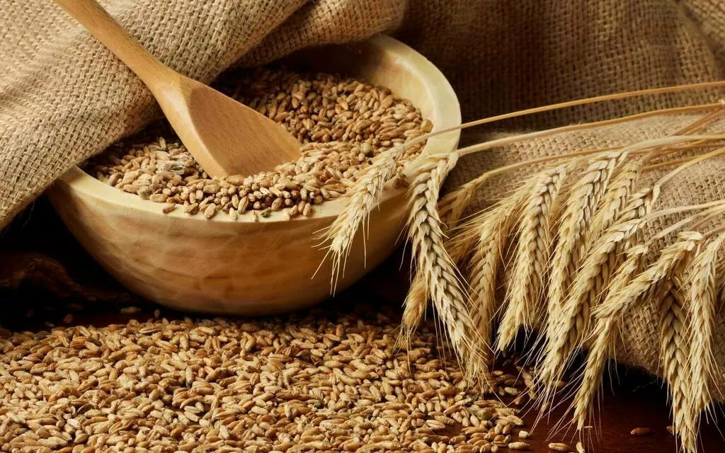 пшеница органическая  в Омске и Омской области