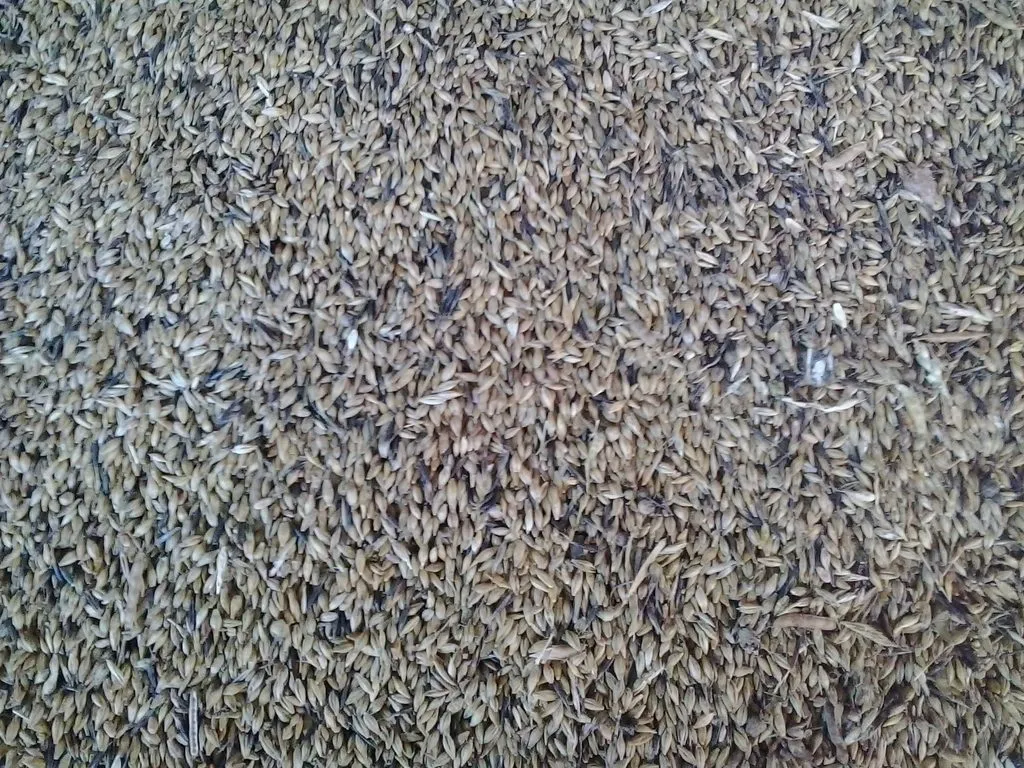 дроблёная пшеница фасованная в мешках в Омске