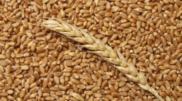 пшеница,ячмень,горох,чечевица . в Омске