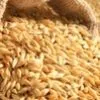 пшеница 3 класс в Омске
